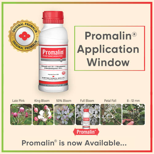 Prominal What is the dose & spray time of Promalin®? - Blog - Sumitomo Chemical ...