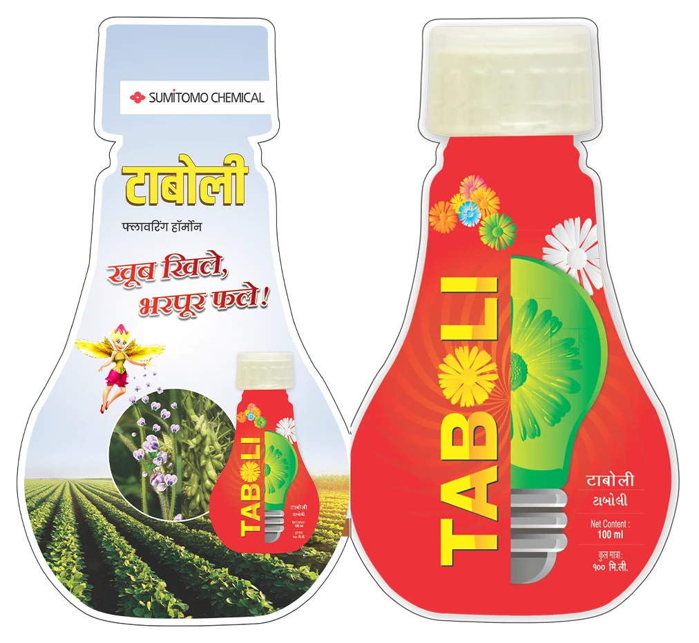 Taboli Soybean: Flowering and Pod Formation Management