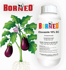 Sumitomo borneo Pack shot and icon