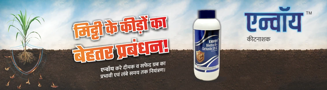 Envoy™ Main Banner Hindi