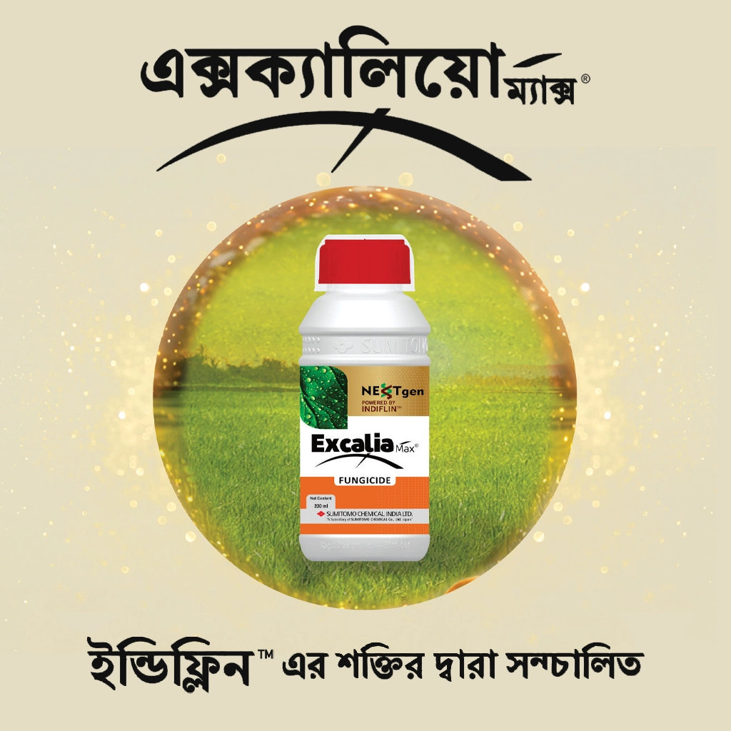 Excalia Max® Logo bengali