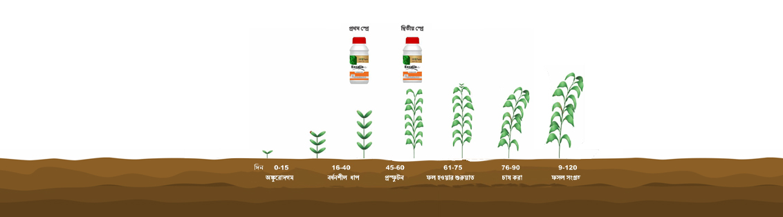 Method of use and dosage of Excalia Max® 