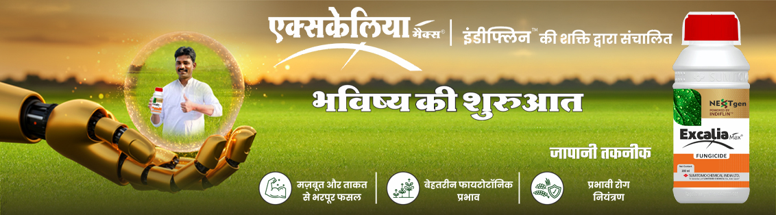 Excalia Max® Main Banner gujarati
