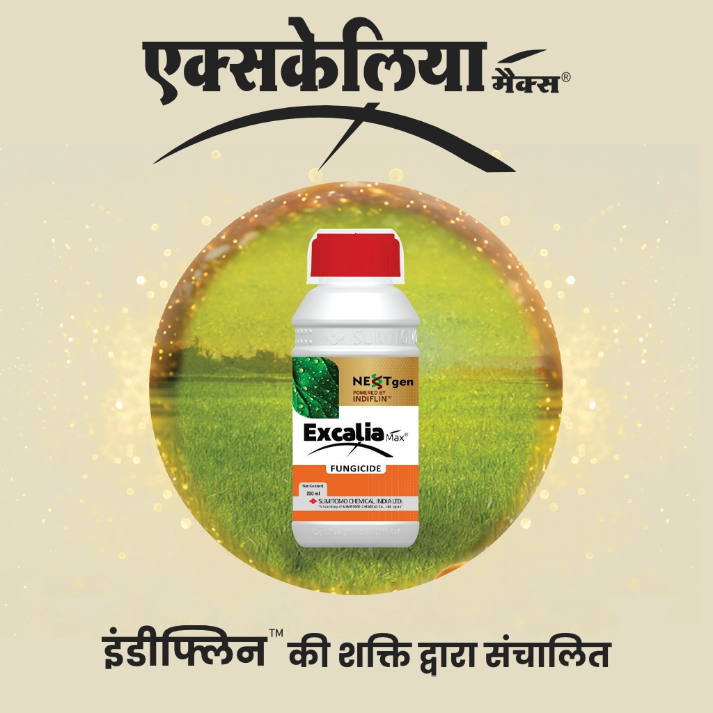 Excalia Max® Logo gujarati