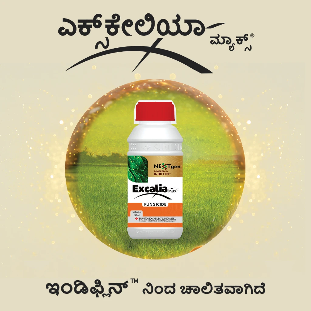 Excalia Max® Logo kannada