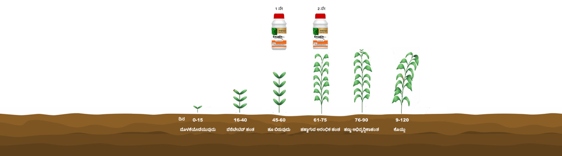 Method of use and dosage of Excalia Max® 