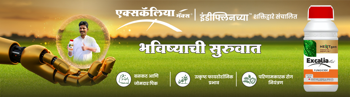 Excalia Max® Main Banner Marathi