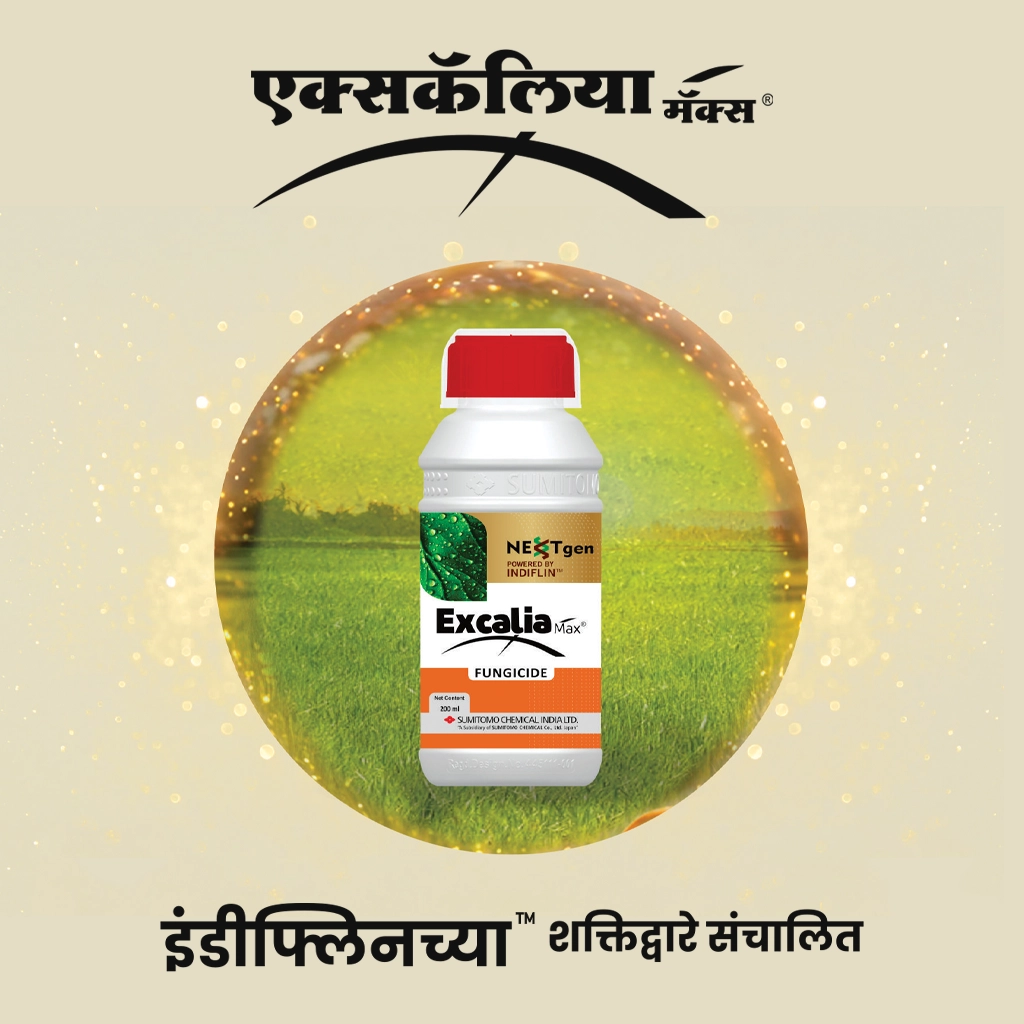 Excalia Max® Logo Marathi