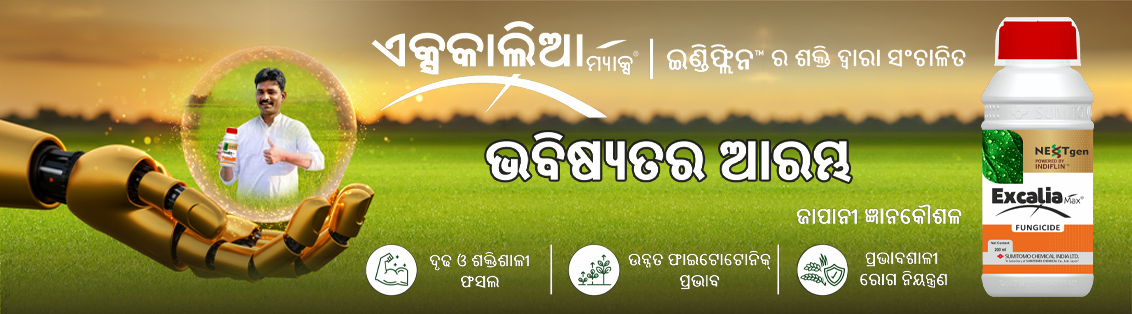 Excalia Max® Main Banner odiya