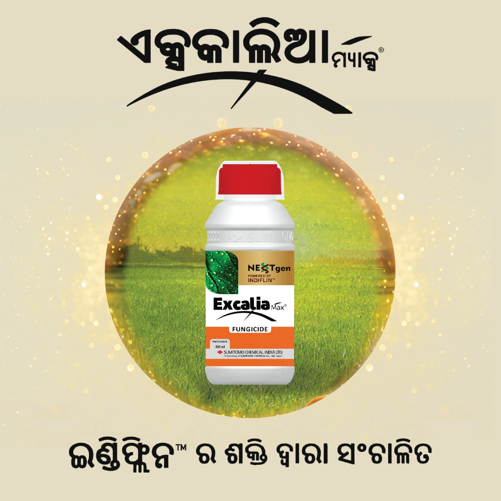Excalia Max® Logo odiya