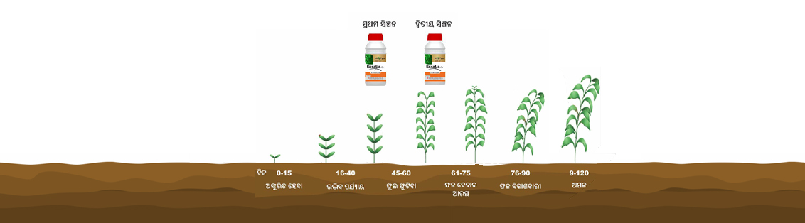 Method of use and dosage of Excalia Max® 