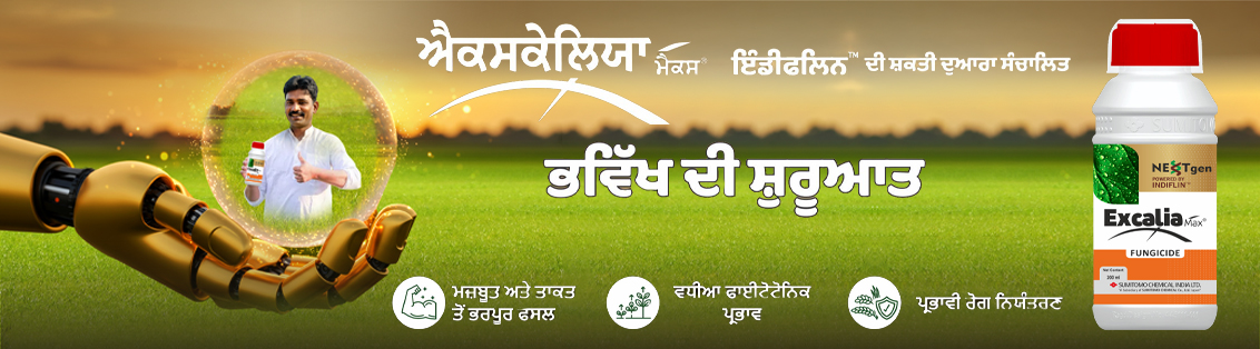 Excalia Max® Main Banner Punjabi