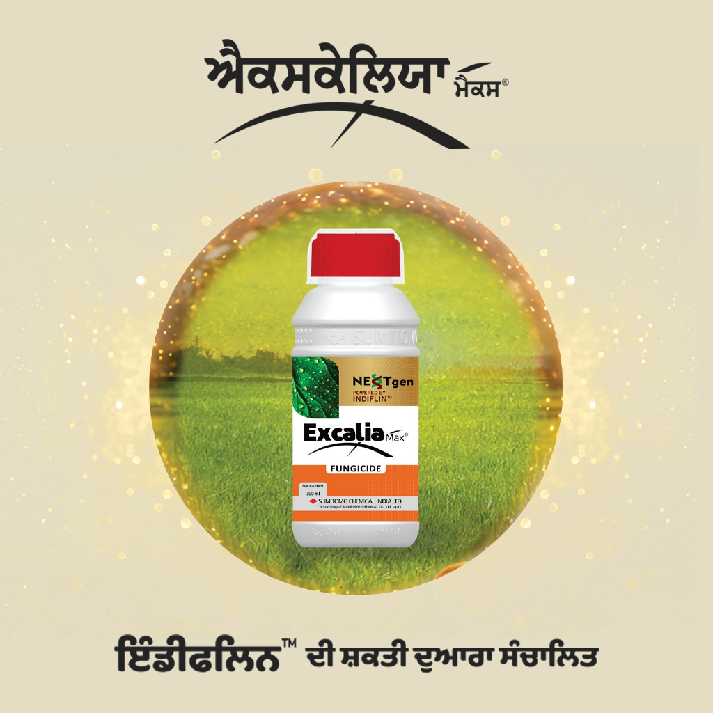 Excalia Max® Logo Punjabi