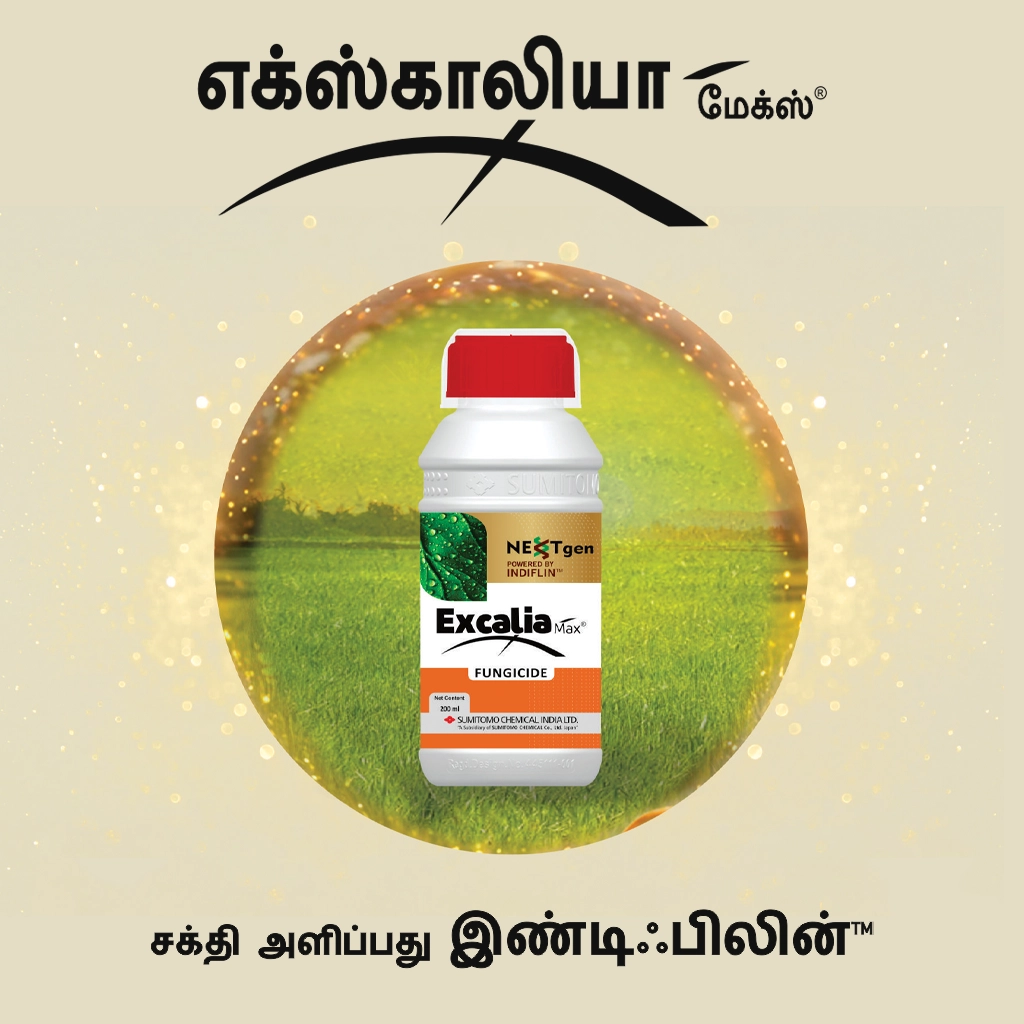 Excalia Max® Logo Tamil
