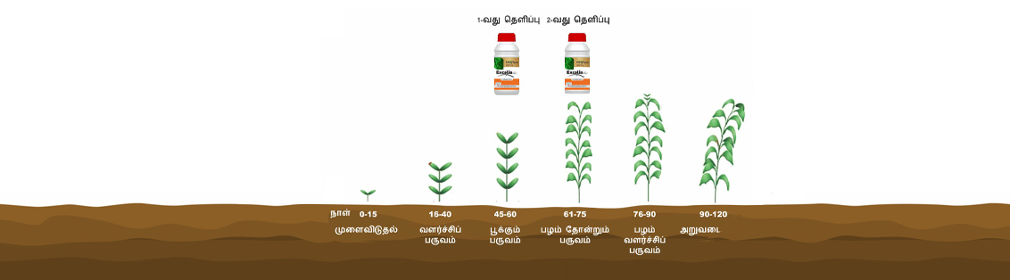 Method of use and dosage of Excalia Max® 