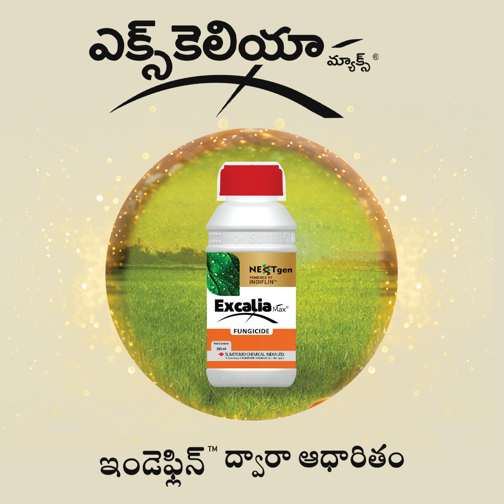 Excalia Max® Logo telugu