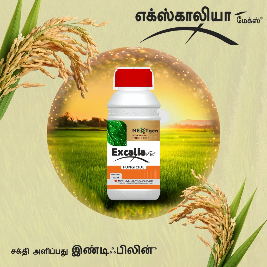 Excalia Max® Logo tamil