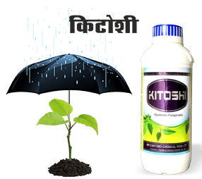 Sumitomo kitoshi Pack shot and icon