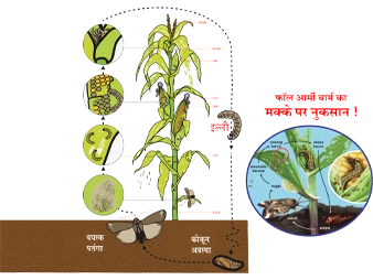 Sumitomo korko Pack shot and icon