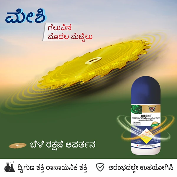 ಗೆಲುವಿನ ಮೊದಲ ಮೆಟ್ಟಿಲು, ದ್ವಿಗುಣ ಶಕಿಶಾಲಿ - ಮೆಶಿ (Sumitomo Meshi)
