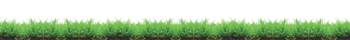 Method of use and dosage of Ormie