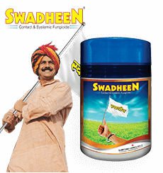 Sumitomo swadheen Pack shot and icon