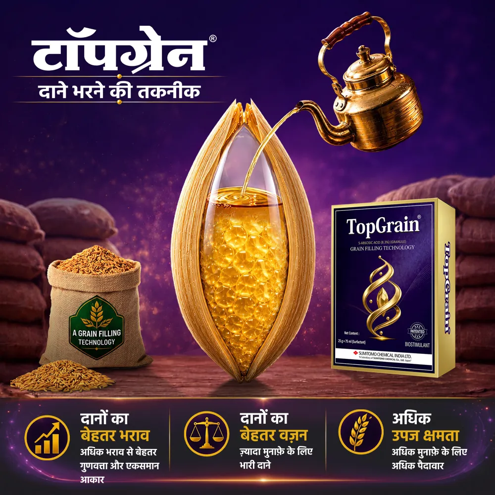 टॉपग्रेन® की मात्रा और छिड़काव दिशानिर्देश