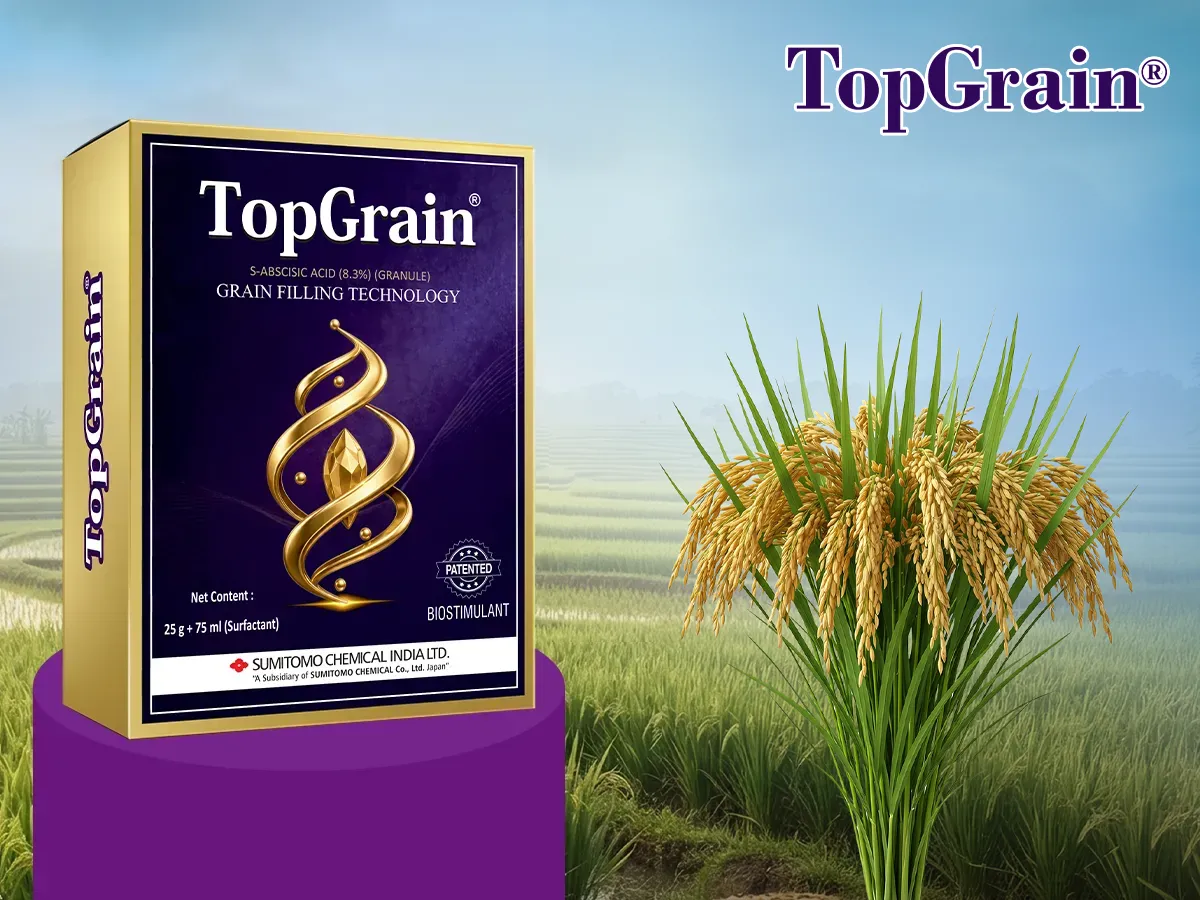 TopGrain solution for paddy