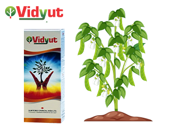 Sumitomo Vidyut Pack shot and icon